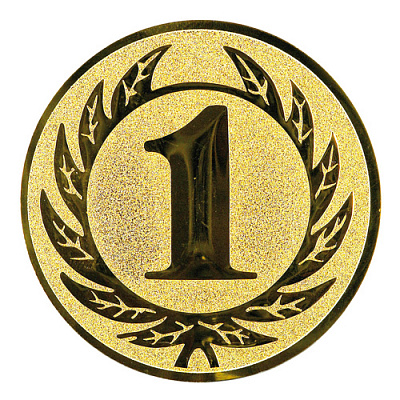 Вкладыш D1 25мм 2 место мп