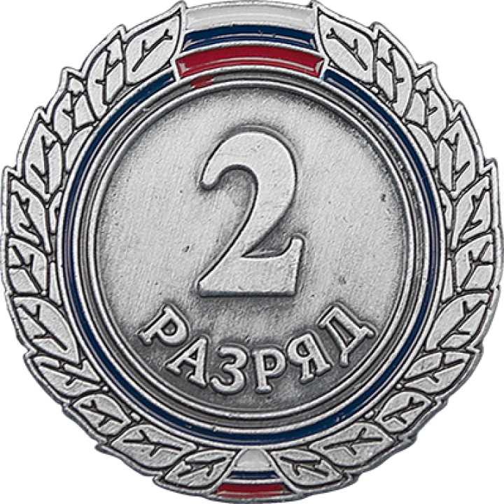 Знак 2 разряд взрослый